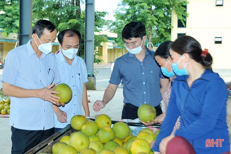 Hà Tĩnh sẵn sàng tổ chức hội nghị kết nối tiêu thụ bưởi Phúc Trạch