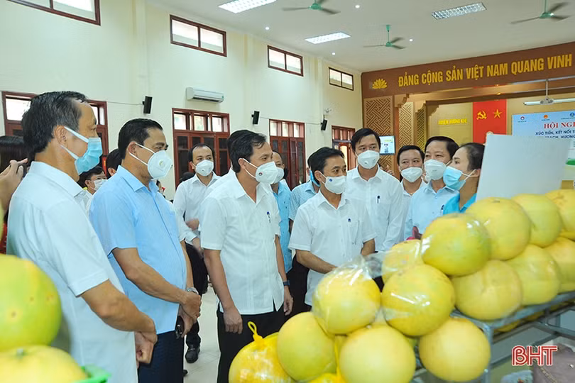 Ấn tượng những gian hàng tại Hội nghị xúc tiến thương mại, kết nối tiêu thụ bưởi Phúc Trạch