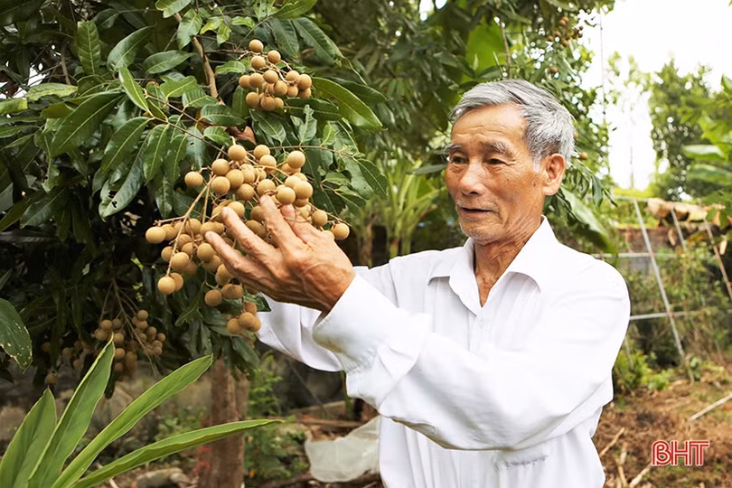 Người Hà Tĩnh bày tỏ niềm tự hào về quê hương, đất nước nhân dịp Quốc khánh 2/9