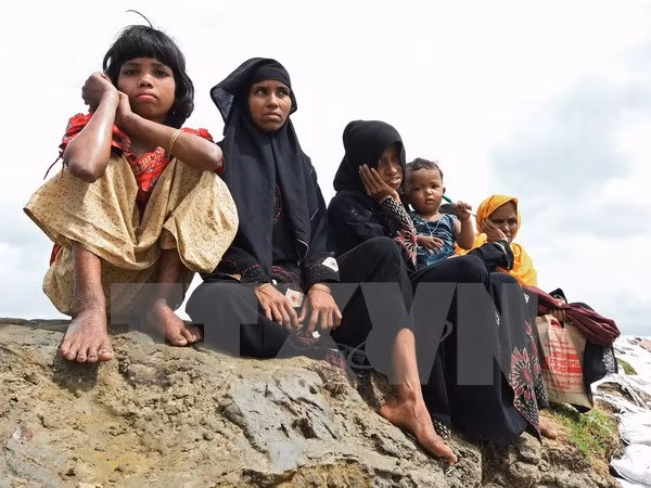 myanmar quan doi dieu tra mo tap the vua phat hien tai rakhine