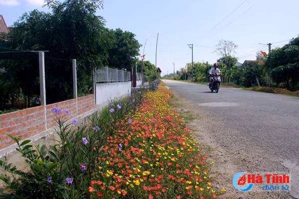 photo dep me hon nhung duong hoa nong thon moi cam yen