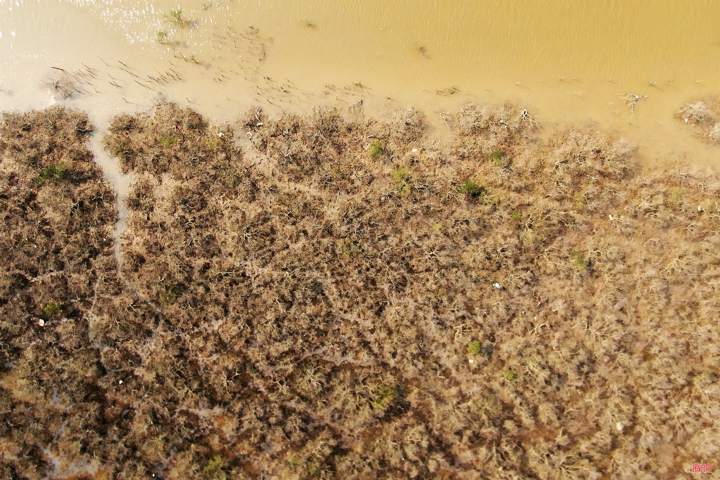 bqbht_br_dji-0573.jpg