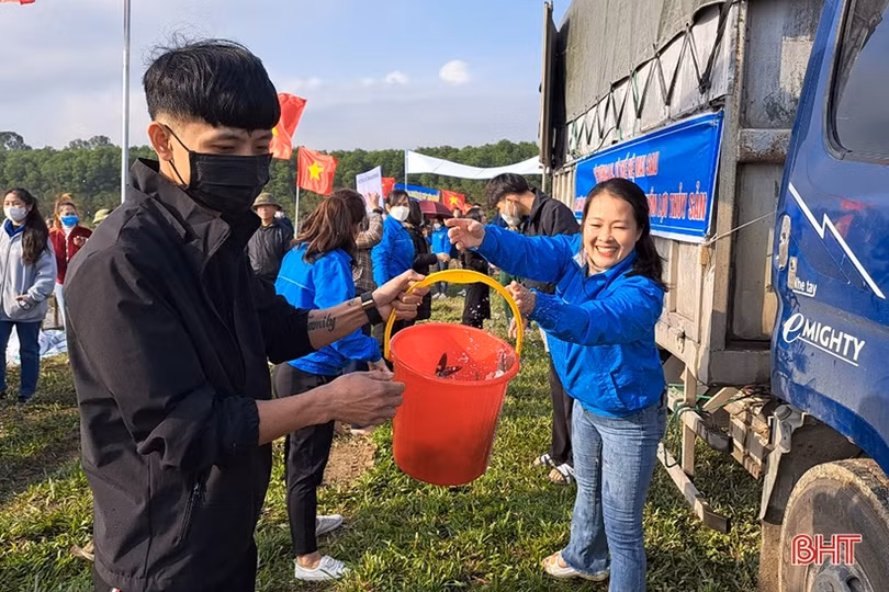 Thả 2 tấn cá giống xuống Vực Rào ở Nghi Xuân 
