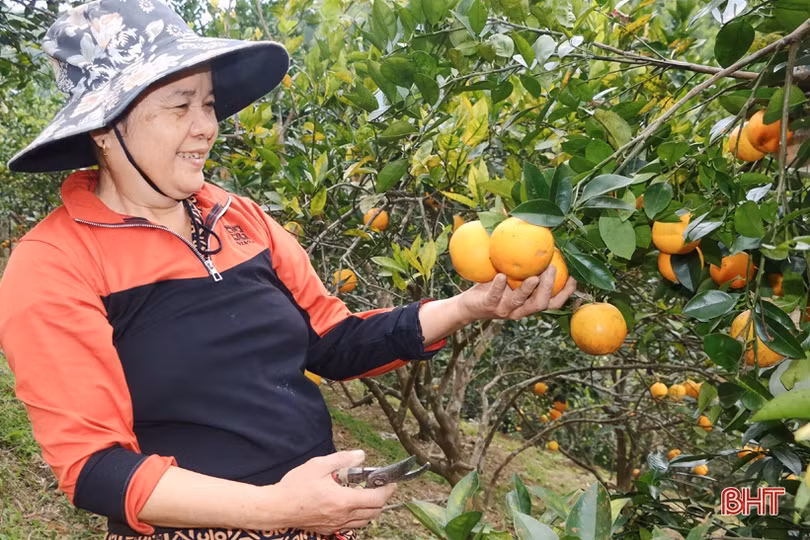 Khát vọng vùng đất Cần Vương