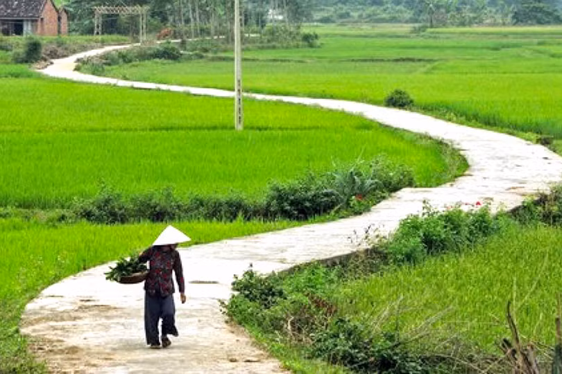 Bâng khuâng ngày cuối năm
