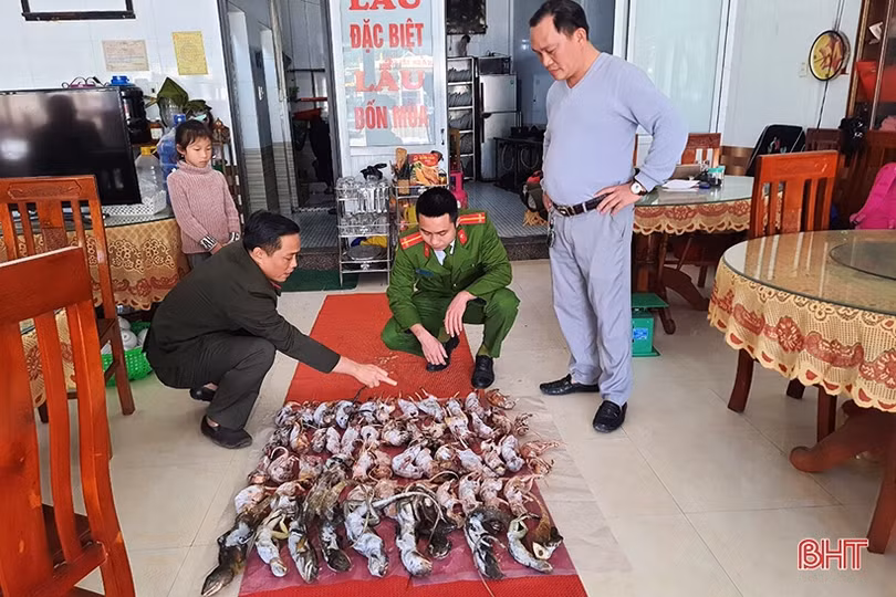 Phát hiện nhiều động vật hoang dã đông lạnh tại một nhà hàng ở Hà Tĩnh