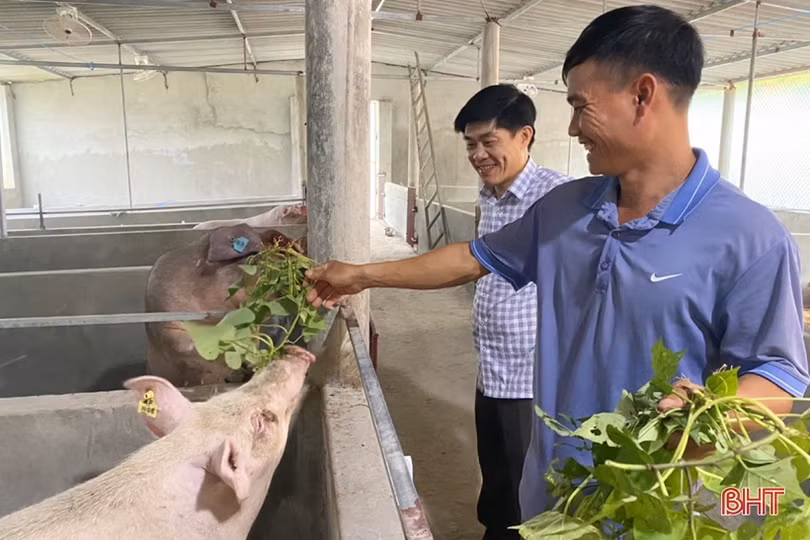 Khát vọng vùng đất Cần Vương