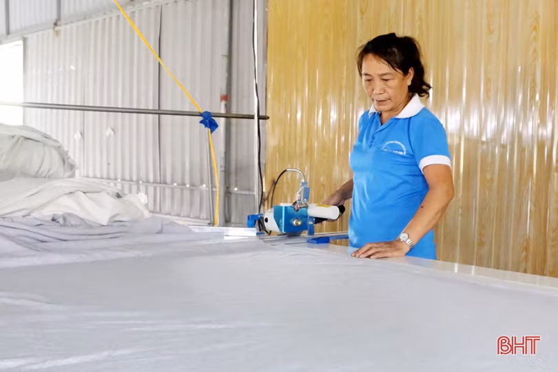 Chàng trai người Huế khởi nghiệp tại Hà Tĩnh, tạo việc làm cho hàng chục lao động nông thôn