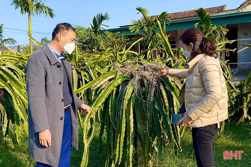 Khát vọng đổi thay từ xây dựng nông thôn mới ở Thạch Kênh