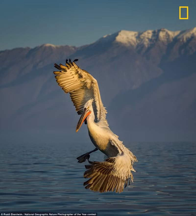 thien nhien dep me hoac trong nhung buc anh cua national geographic
