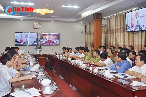 thu hoi giay phep dung hoat dong nhung du an khong trong rung thay the