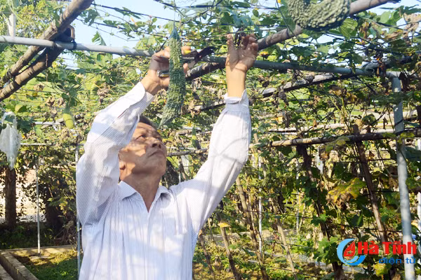 dua vu dong thanh vu chinh chinh sach phai den nguoi san xuat