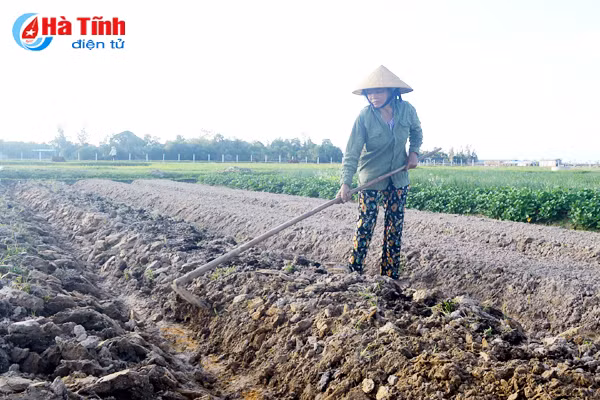 dua vu dong thanh vu chinh chinh sach phai den nguoi san xuat