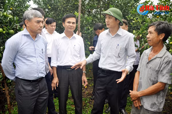 ban chi dao trung uong an tuong voi cac chuong trinh mtqg o ha tinh
