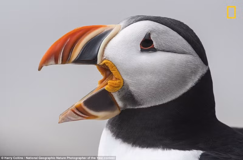 thien nhien dep me hoac trong nhung buc anh cua national geographic