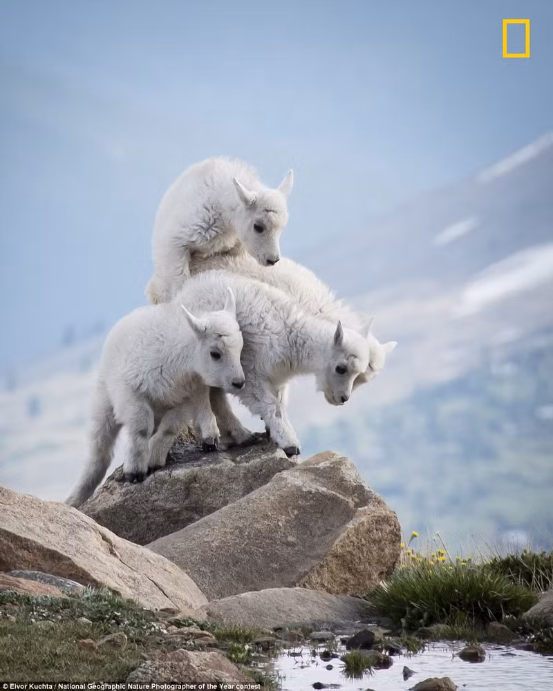 thien nhien dep me hoac trong nhung buc anh cua national geographic