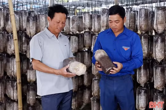 Đánh thức khát vọng lập nghiệp của thanh niên Hà Tĩnh