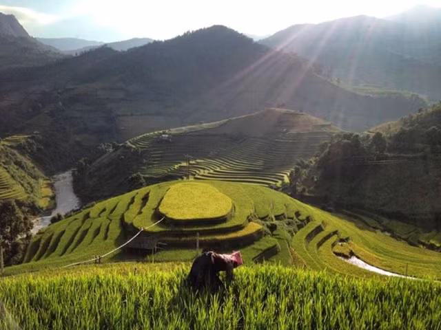 ngo ngang ve dep mu cang chai mua lua chin