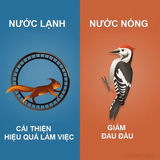 su khac nhau giua tam nuoc lanh va nuoc nong