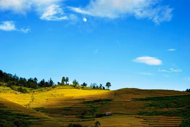 ngo ngang ve dep mu cang chai mua lua chin