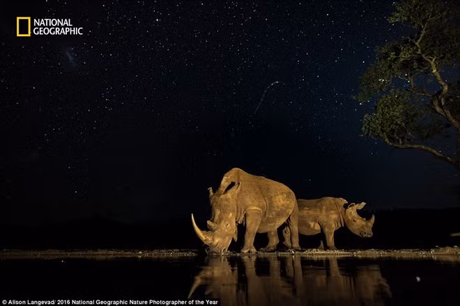 the gioi ky vi qua anh du thi cua national geographic