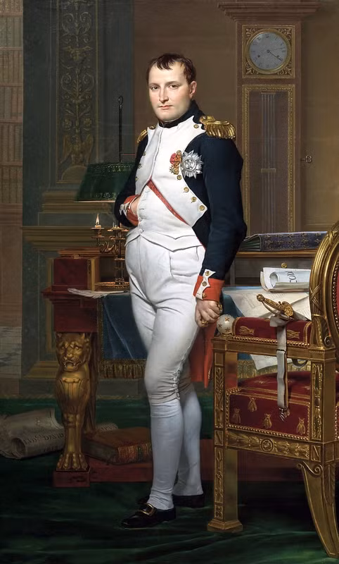 napoleon bonaparte da suyt thanh nha van nhu the nao
