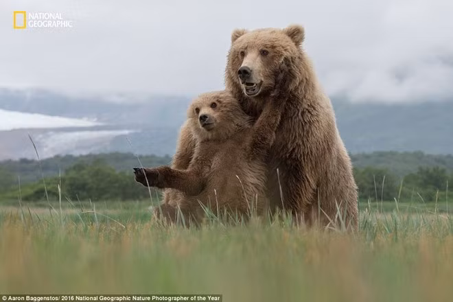 the gioi ky vi qua anh du thi cua national geographic