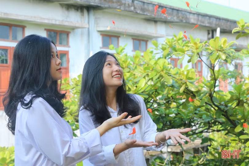Tuổi học trò xao xuyến mùa phượng đỏ