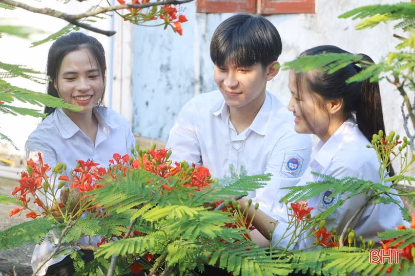 Tuổi học trò xao xuyến mùa phượng đỏ