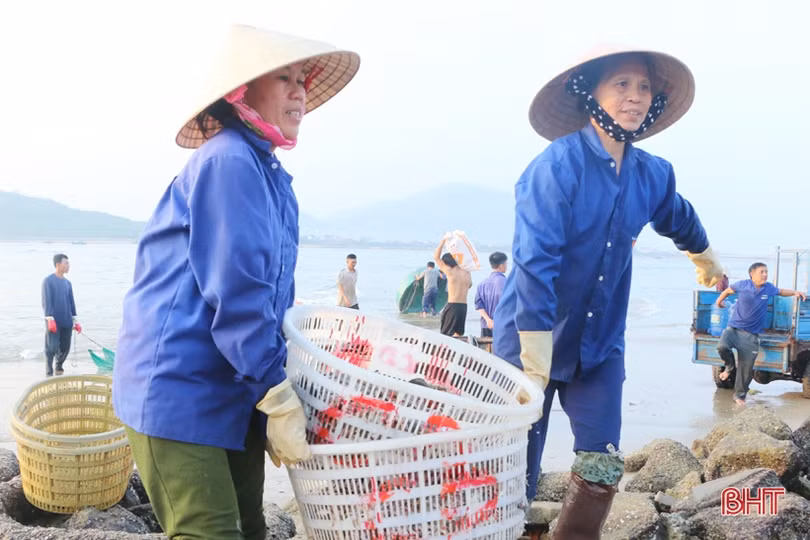 Về Hà Tĩnh “soi đèn” đi chợ cá, ngắm bình minh