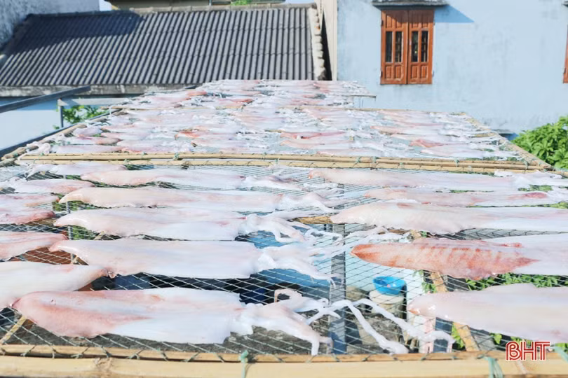Đặc sản mực một nắng Hà Tĩnh làm “xiêu” lòng khách