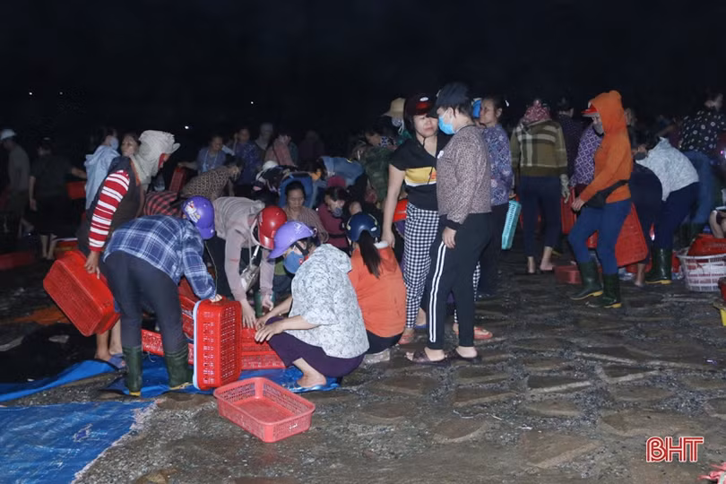 Về Hà Tĩnh “soi đèn” đi chợ cá, ngắm bình minh