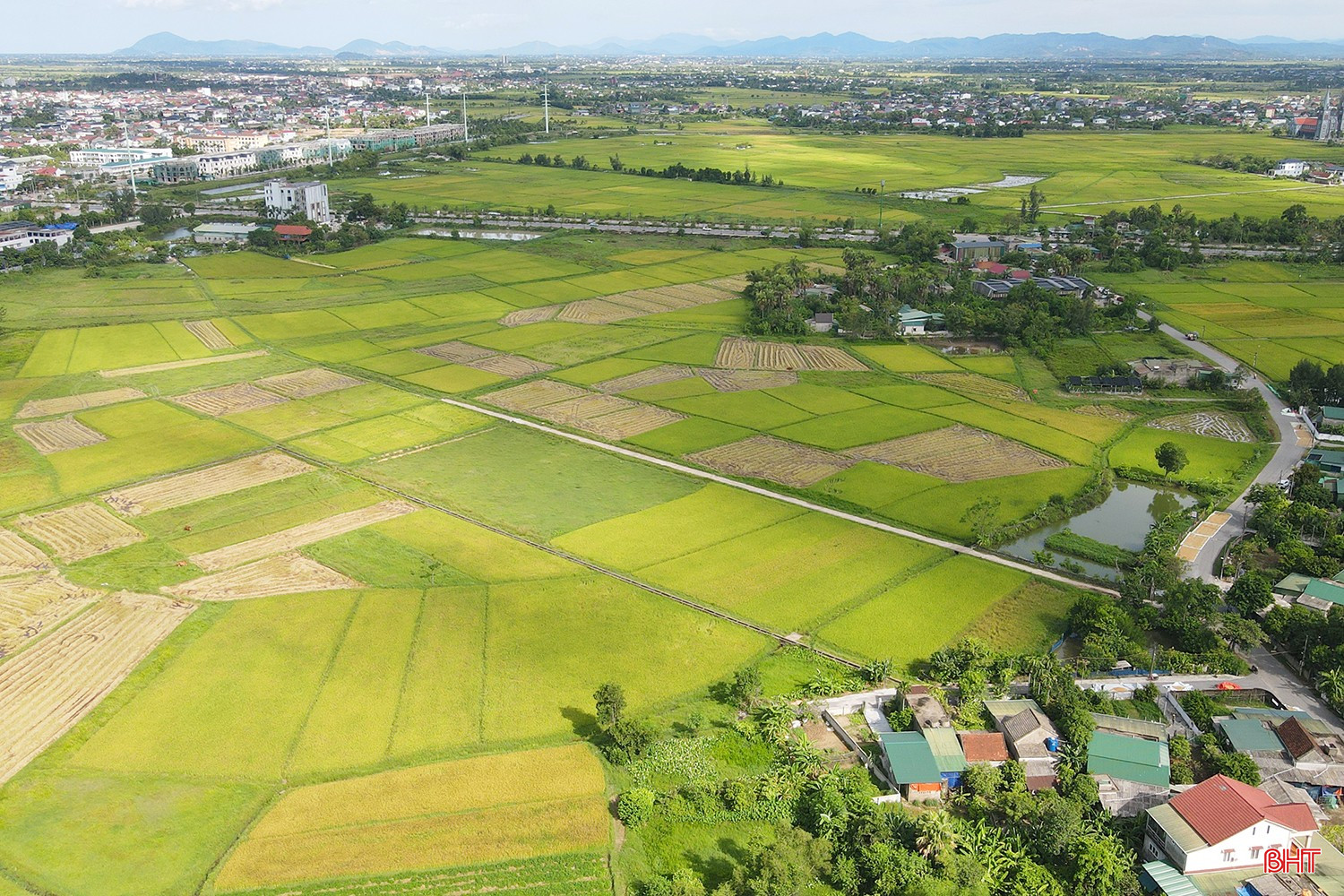 bqbht_br_duong-xo-viet-nghe-tinh-ve-phia-tay-10.jpg