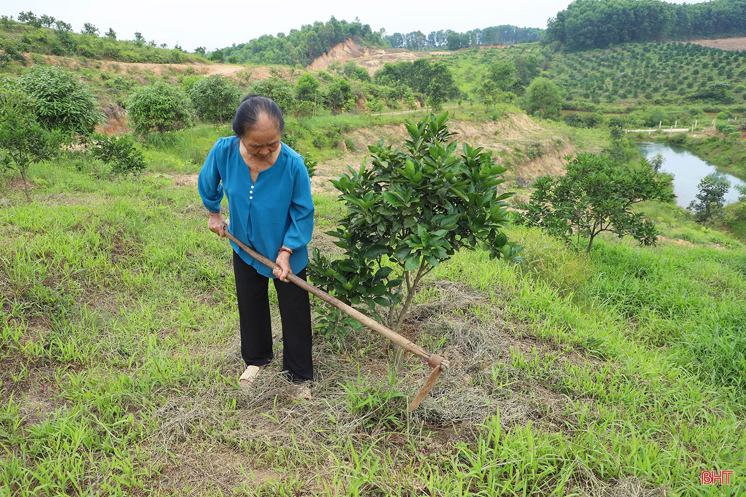 Học Bác, nữ đảng viên tiên phong xây vùng kinh tế mới