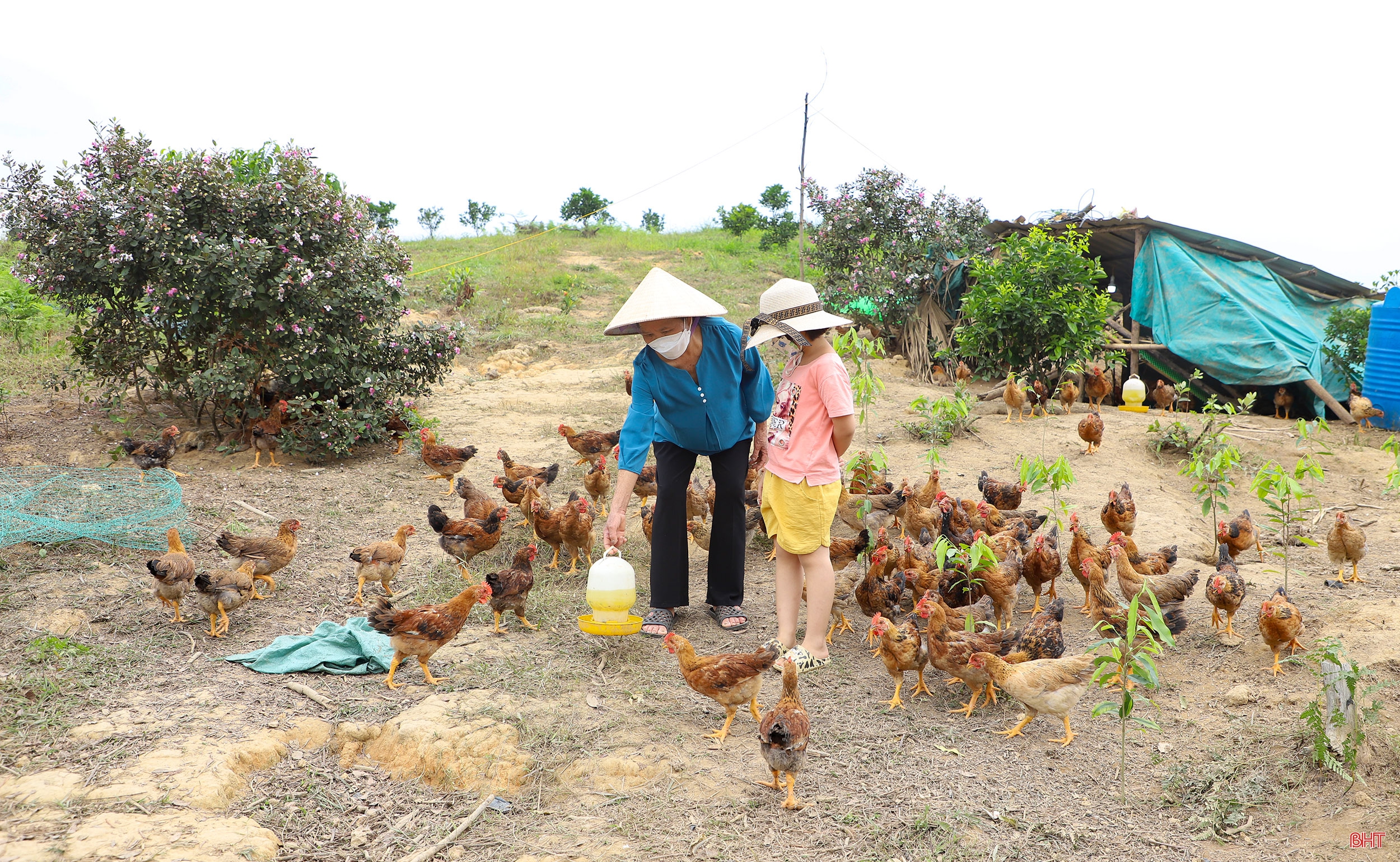 Học Bác, nữ đảng viên tiên phong xây vùng kinh tế mới