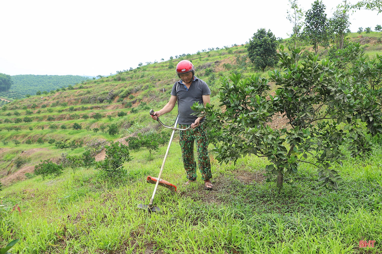 Học Bác, nữ đảng viên tiên phong xây vùng kinh tế mới