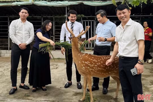 Từ sản phẩm OCOP đến trải nghiệm du lịch