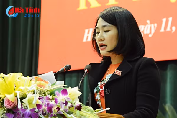 dai bieu hdnd tinh tam huyet ban giai phap phat trien kt xh nam 2018