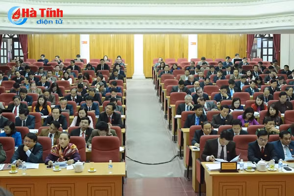 dai bieu hdnd tinh soi noi gop y cac to trinh nghi quyet quan trong
