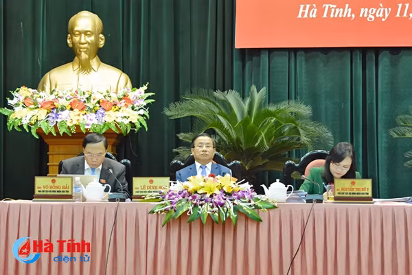 dai bieu hdnd tinh soi noi gop y cac to trinh nghi quyet quan trong