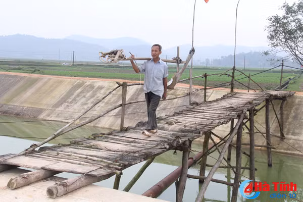 cau qua kenh ngan truoi noi can khong co noi co lai khong can