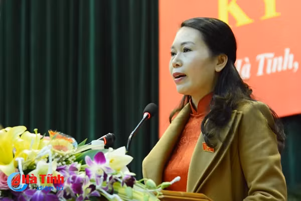 dai bieu hdnd tinh soi noi gop y cac to trinh nghi quyet quan trong