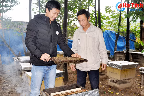 mat ong huong buoi thom ngon co tieng van bi ep gia