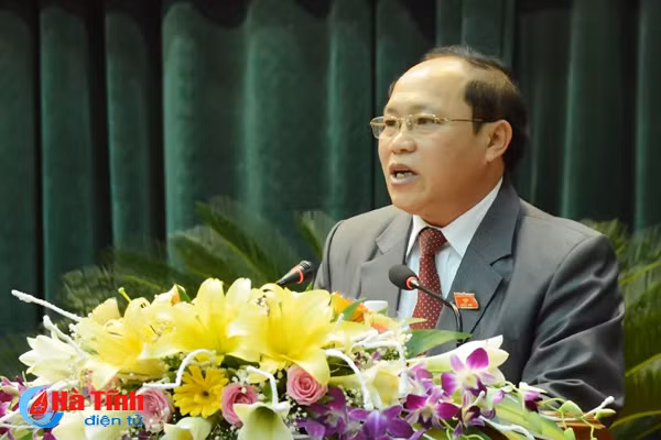 dai bieu hdnd tinh soi noi gop y cac to trinh nghi quyet quan trong