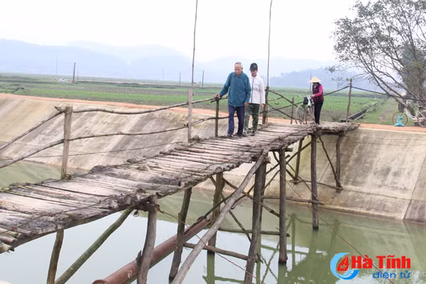 cau qua kenh ngan truoi noi can khong co noi co lai khong can