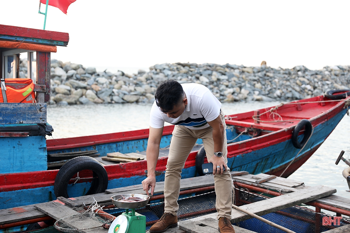 Mực nhảy Vũng Áng hấp dẫn du khách