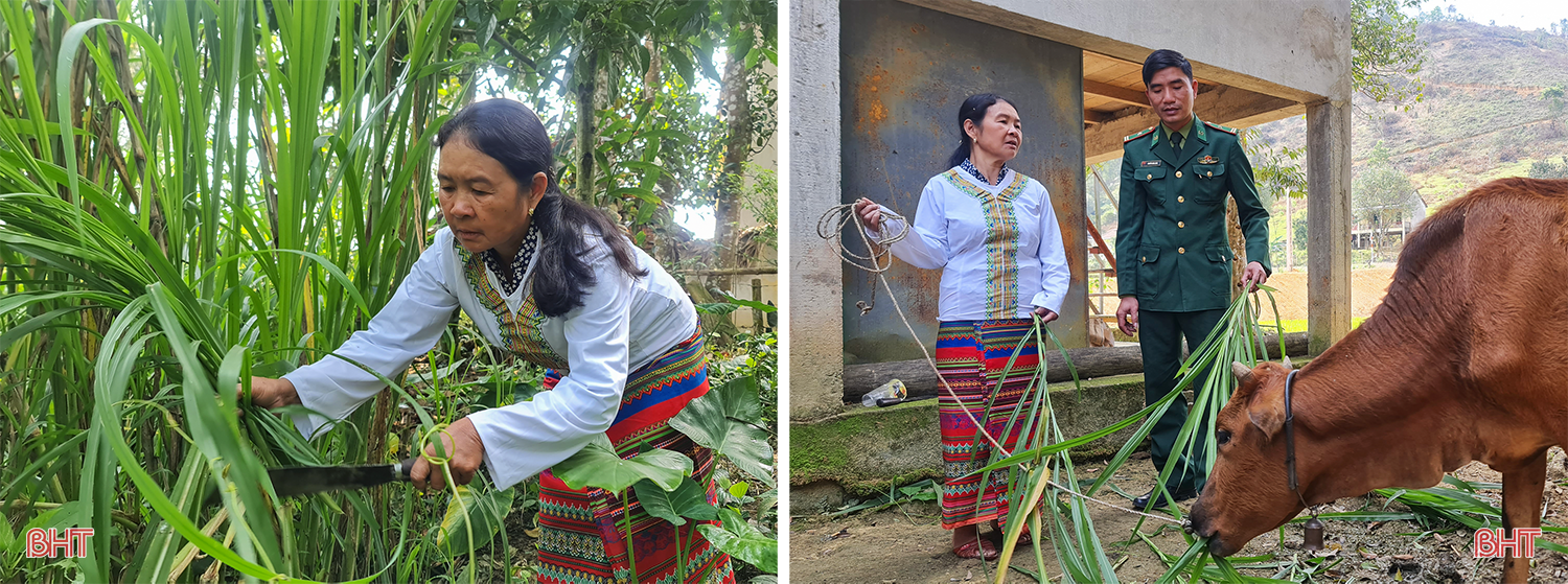 “Đội quân tiên phong” trong đồng bào dân tộc thiểu số ở Hà Tĩnh (Bài 3): Chuyện “chi bộ gia đình” dân tộc Chứt ở bản Rào Tre