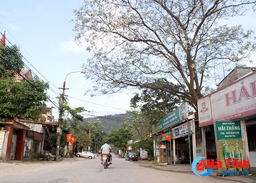 photo sac tim hoa xoan thang 3 o ha tinh