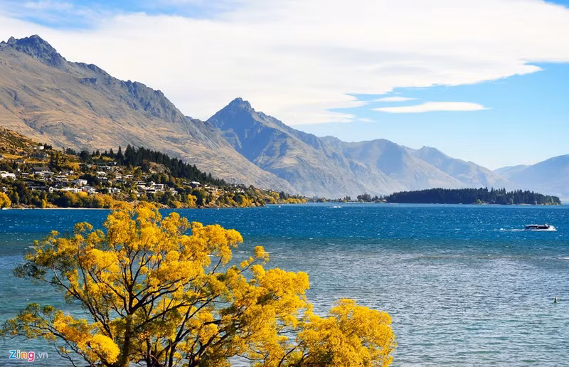 new zealand qua ong kinh du lich auckland queenstown