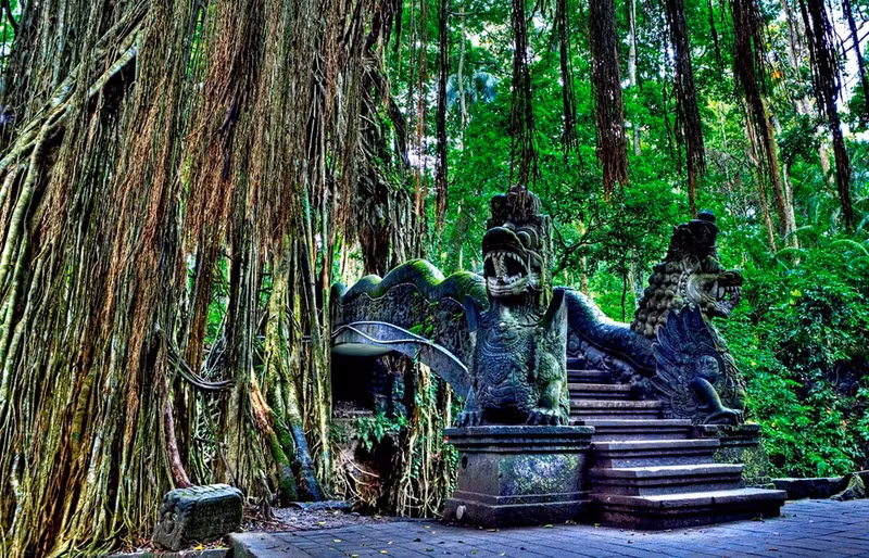 nhung khu rung xanh muot dep tua thien duong